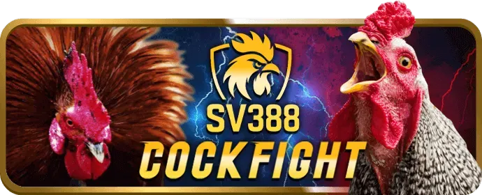 Lý do chọn Fun88 Code